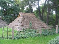 Albums/20060800-China Aug 2006/20060807-Shenyang - Neolithic Museum/2